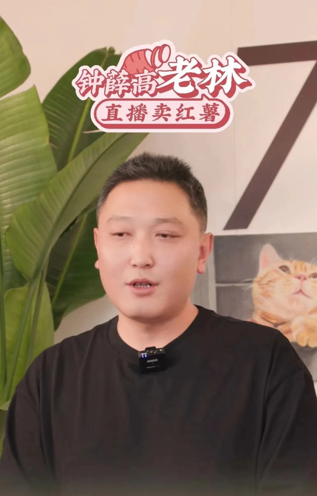 太突然！重回5元时代，网友急了：2元！