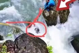 确认了，两人已无生命体征！全网在科普的“死亡V”究竟是啥