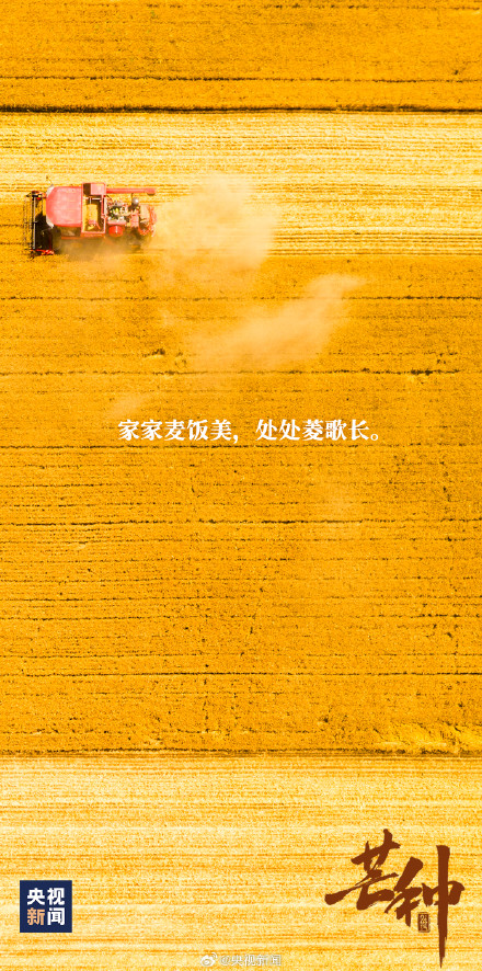 芒种遇到周三有多忙 今天你有啥事要忙？