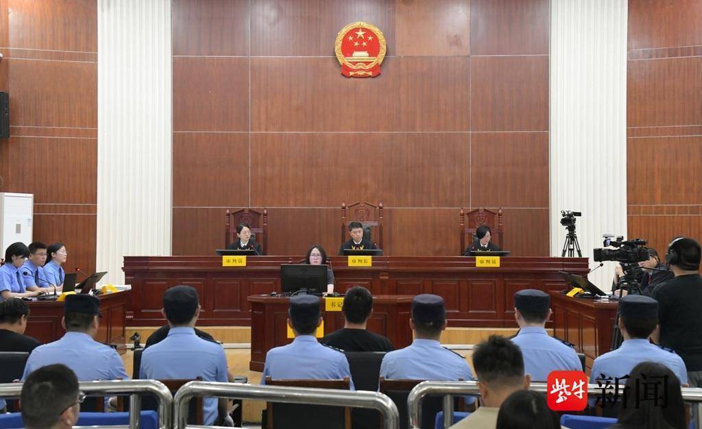 为吃“野味”竟用气枪猎杀两只东方白鹳，四名被告人一审获刑