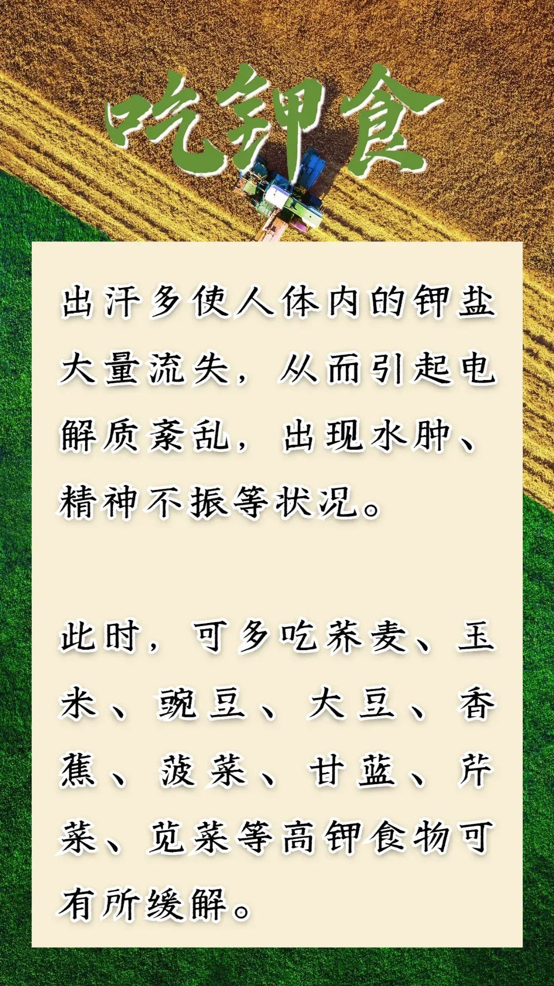 芒种到，仲夏始！防病除湿牢记这几点，把握养生好时节