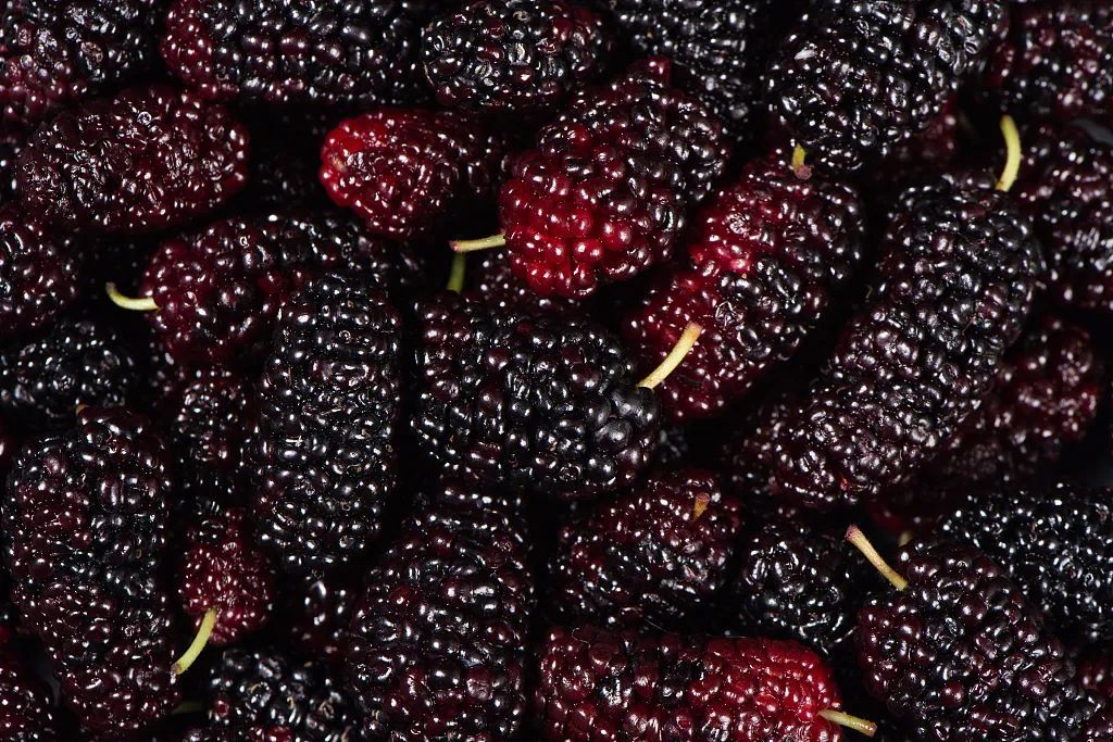 芒种，我们吃点啥？