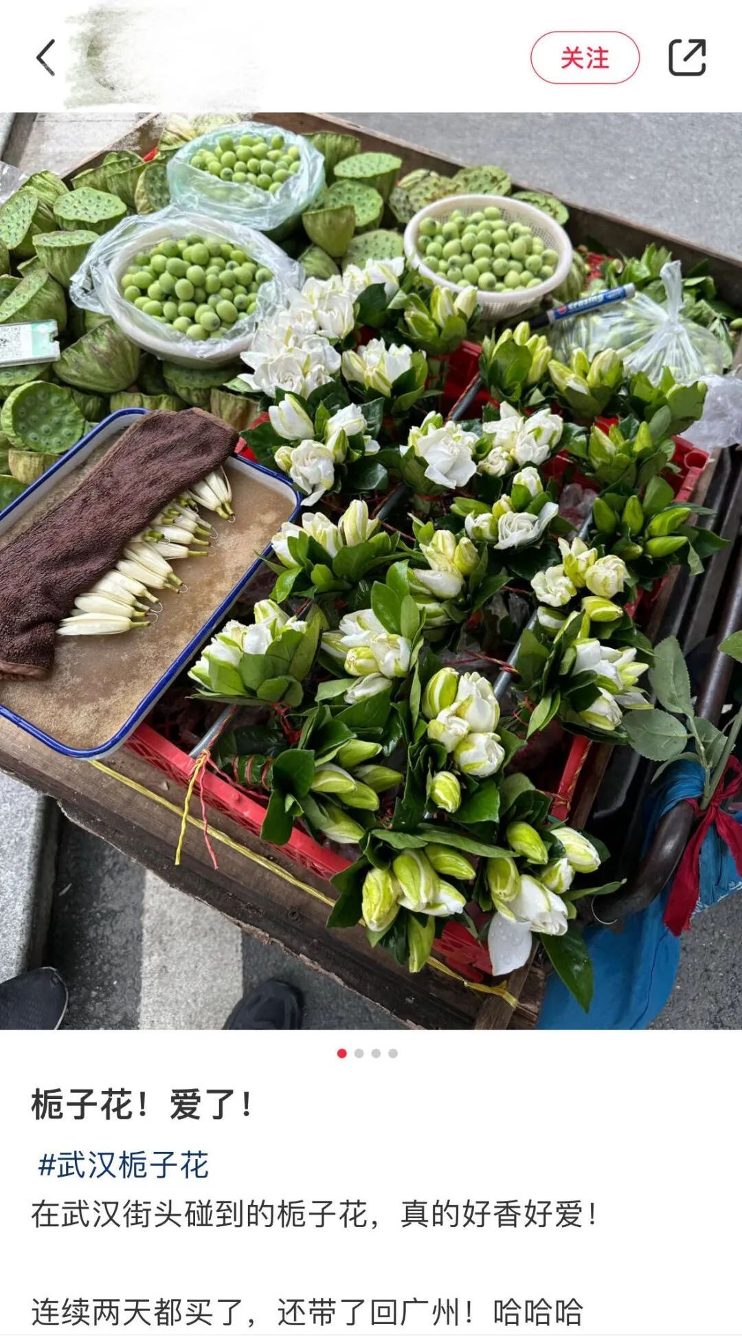 武汉大街小巷纷纷出现！网友：根本抵抗不了