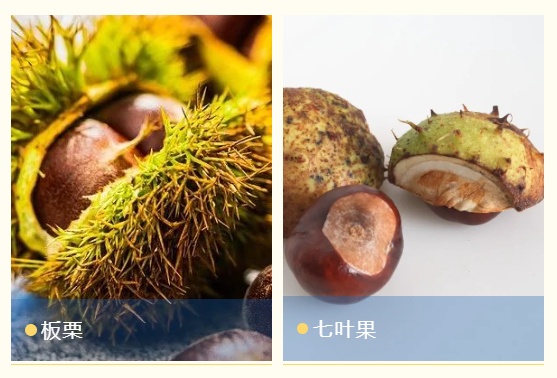 夫妻双双中毒,无特效解毒剂!这东西重庆也有…… 夫妻双双中毒,无特效解毒剂!这东西重庆也有……