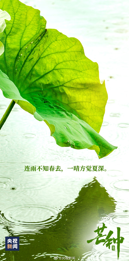 芒种遇到周三有多忙 今天你有啥事要忙？