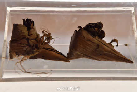 世界上最早的实物粽子，在江西发现