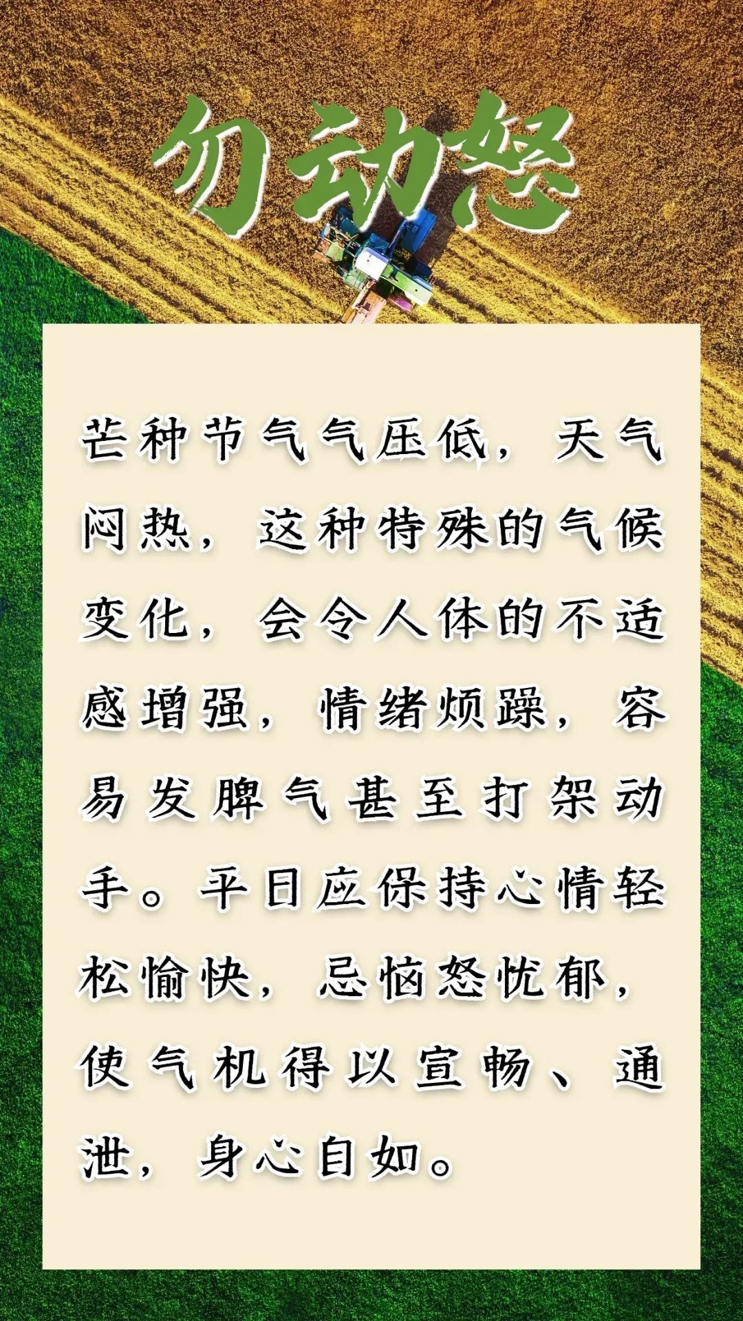 芒种到，仲夏始！防病除湿牢记这几点，把握养生好时节