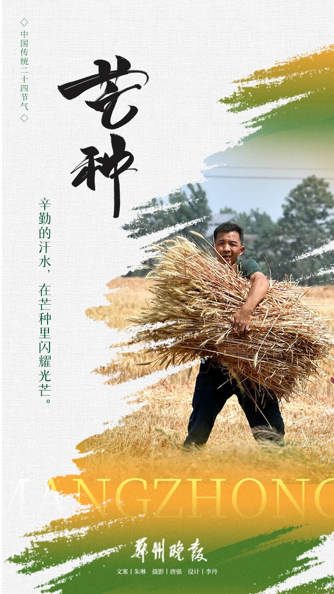 今日芒种，人生万事不过种和收