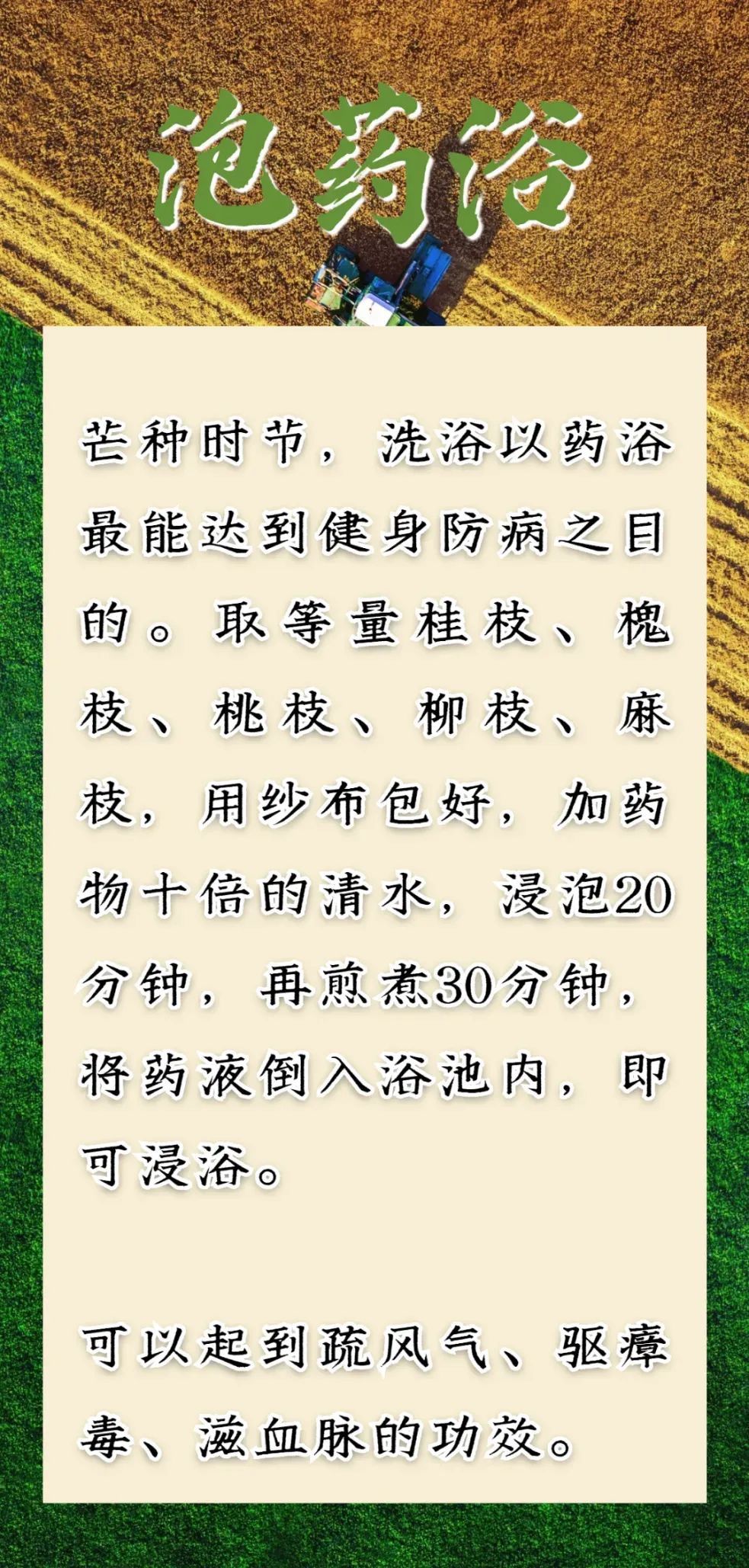 芒种到，仲夏始！防病除湿牢记这几点，把握养生好时节