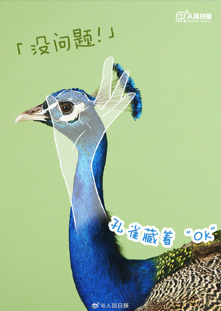 你发现了吗？原来大自然藏着这么多表情包