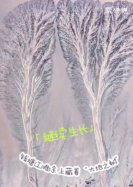 你发现了吗？原来大自然藏着这么多表情包