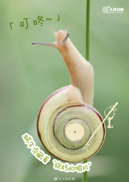 你发现了吗？原来大自然藏着这么多表情包