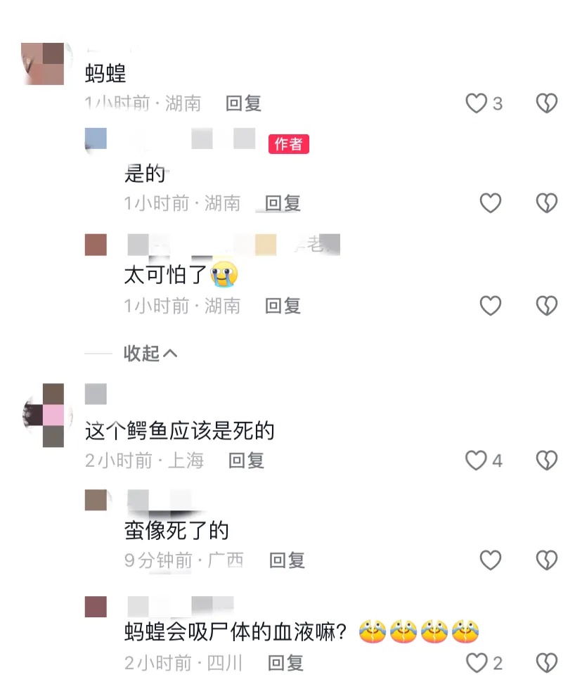 鳄鱼嘴里有大量活虫在蠕动?动物园回应! 鳄鱼嘴里有大量活虫在蠕动?动物园回应!