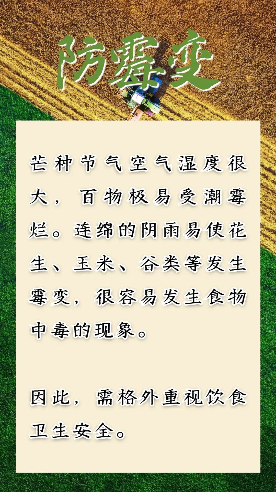 芒种到，仲夏始！防病除湿牢记这几点，把握养生好时节