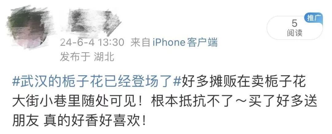 武汉大街小巷纷纷出现！网友：根本抵抗不了