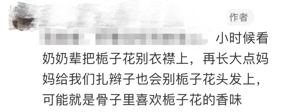 武汉大街小巷纷纷出现！网友：根本抵抗不了