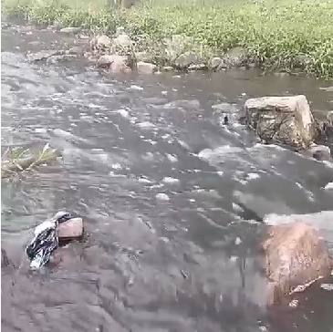 污水横流！网友怀疑是猪场偷排？环保部门回应