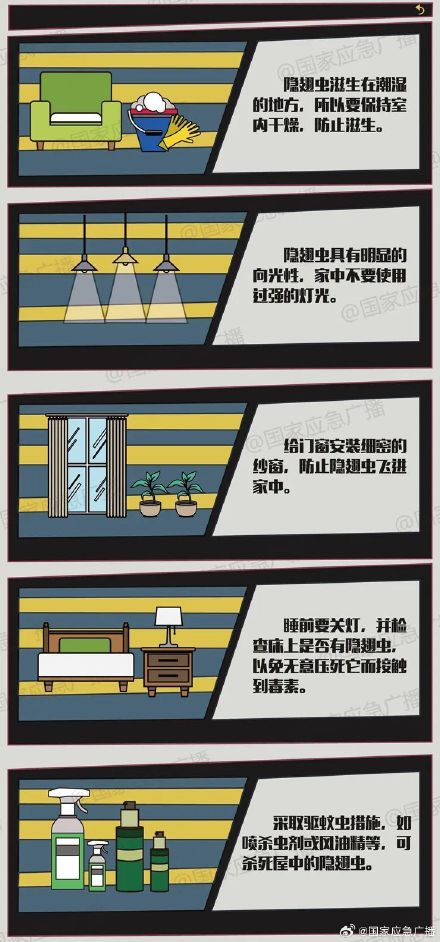 提醒!遇到隐翅虫千万不要拍打! 提醒!遇到隐翅虫千万不要拍打!