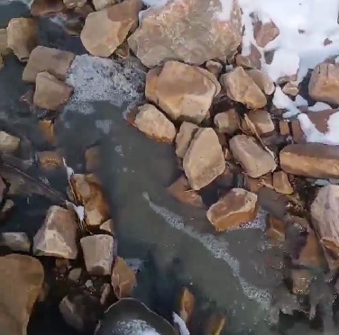 污水横流！网友怀疑是猪场偷排？环保部门回应