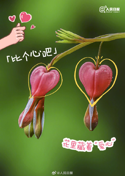 你发现了吗？原来大自然藏着这么多表情包