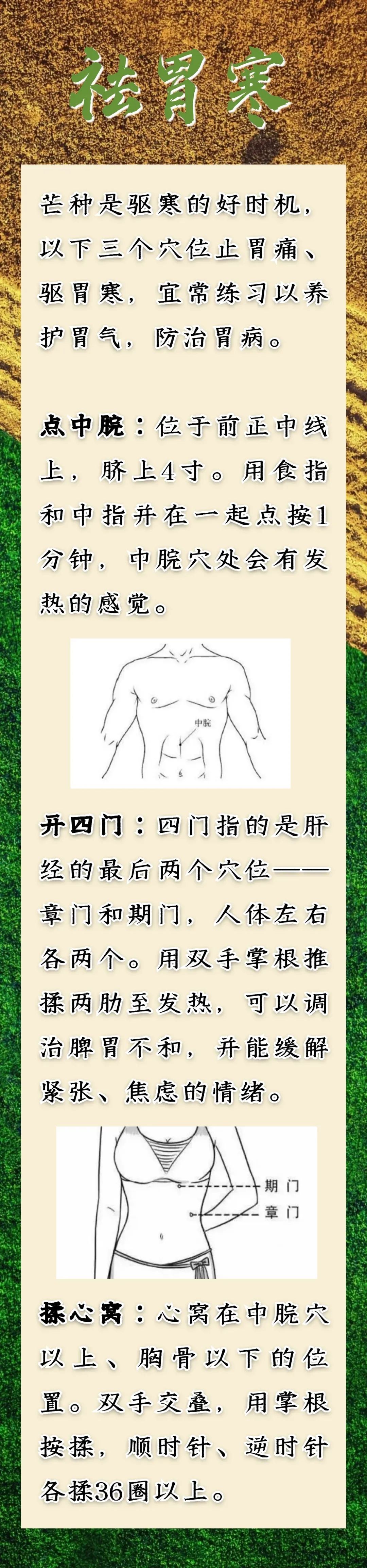 芒种到，仲夏始！防病除湿牢记这几点，把握养生好时节