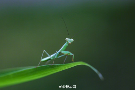 愿你“芒”有所获 “种”有所得