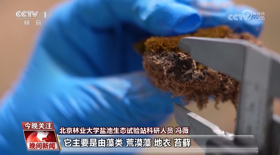 走“三北” 看攻坚 针对“顽疾”开“药方” 因地制宜保水土