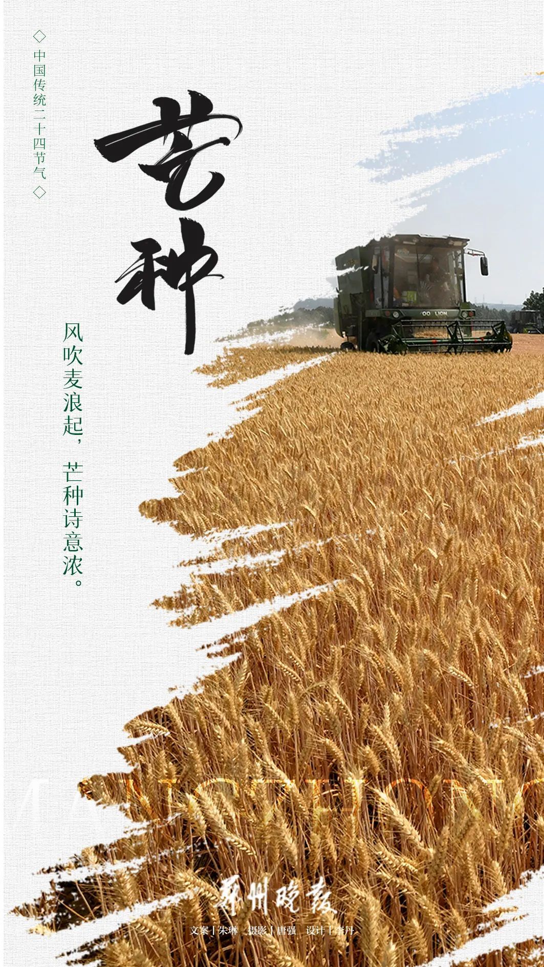 今日芒种，人生万事不过种和收