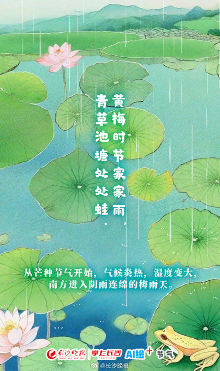 今日芒种！愿你“芒”有所获，“种”有所得