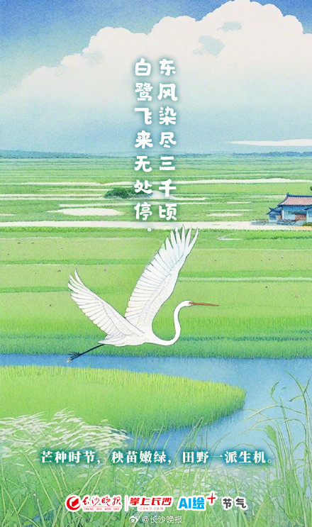 今日芒种！愿你“芒”有所获，“种”有所得
