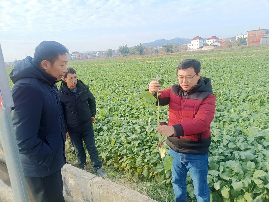 4万人同时观看!这位武汉教授火了 4万人同时观看!这位武汉教授火了