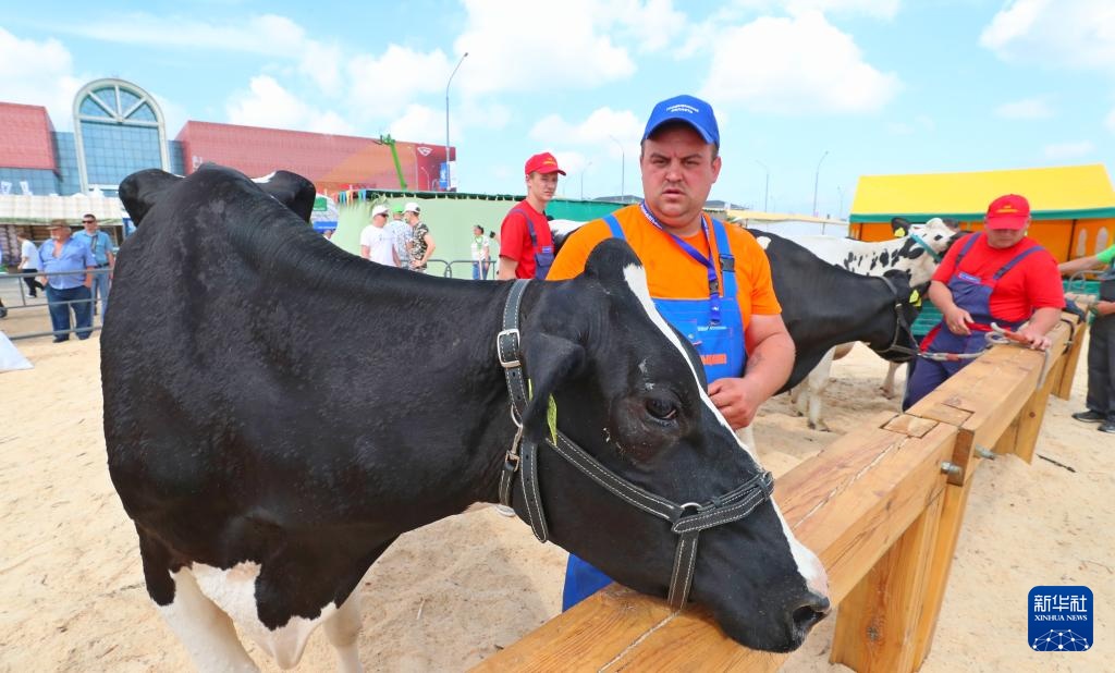 2024白俄罗斯国际农业展开幕