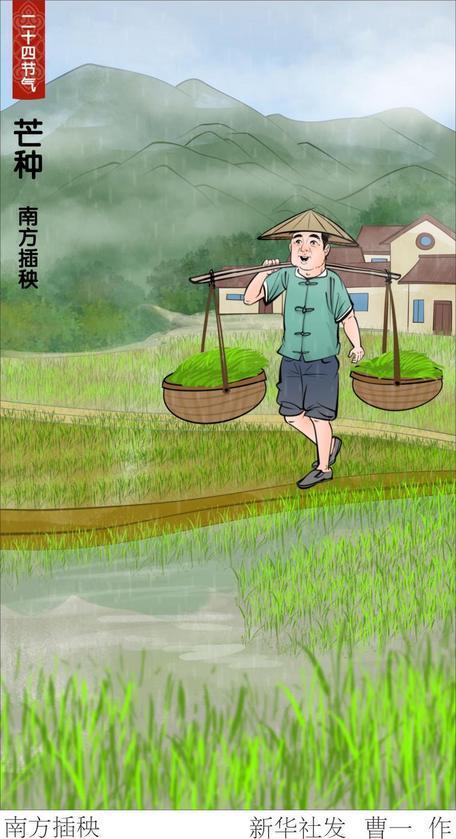 文化中国行&middot;诗意节令｜芒种：风吹麦成浪 静待稻花香