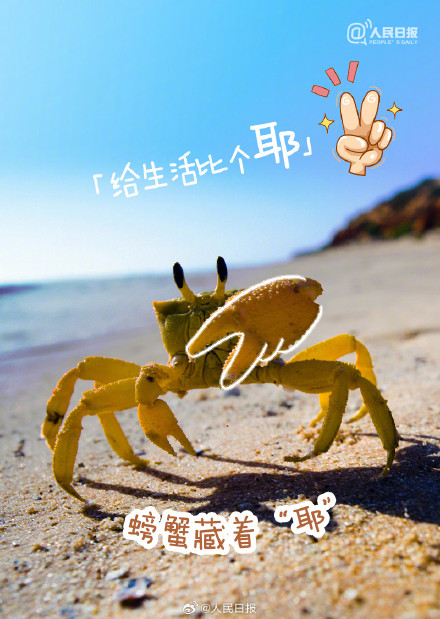 你发现了吗？原来大自然藏着这么多表情包