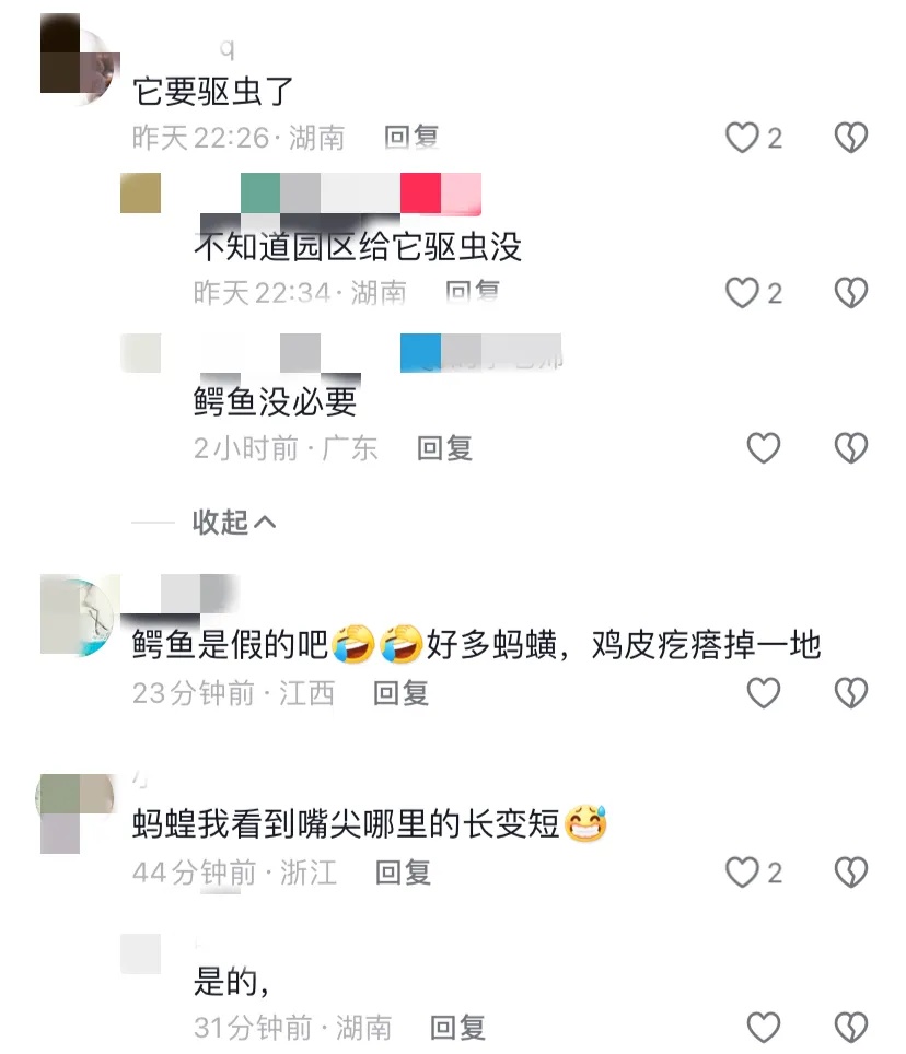 鳄鱼嘴里有大量活虫在蠕动?动物园回应! 鳄鱼嘴里有大量活虫在蠕动?动物园回应!