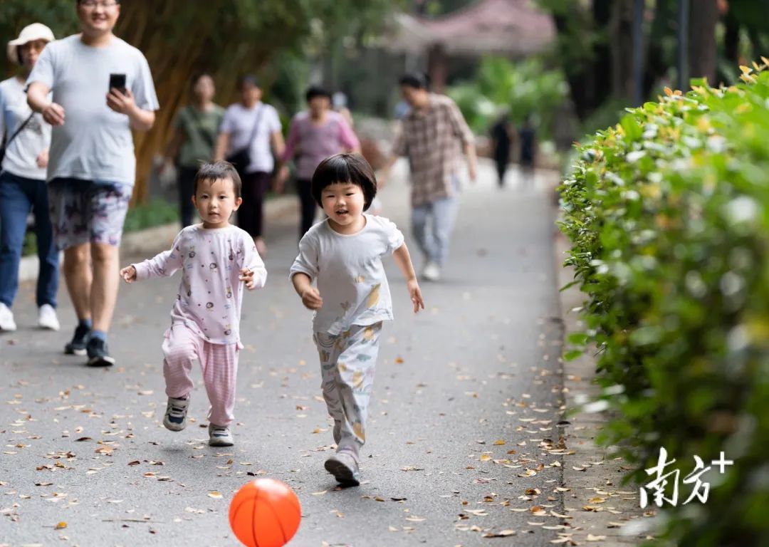 芒种｜忙而不茫，奔赴夏日好时光