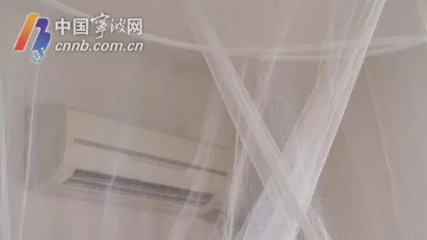 宁波人“打交道”最多的是哪几种蚊子？专家教你防蚊