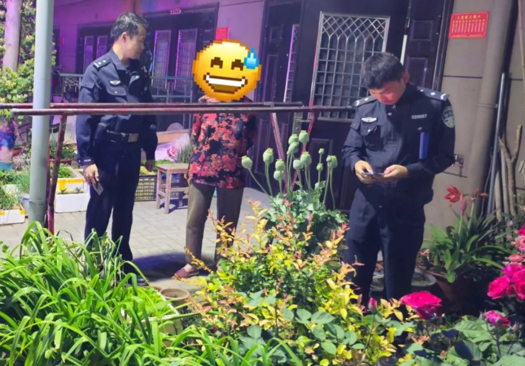 果断报警!“小孩哥”立功了 果断报警!“小孩哥”立功了