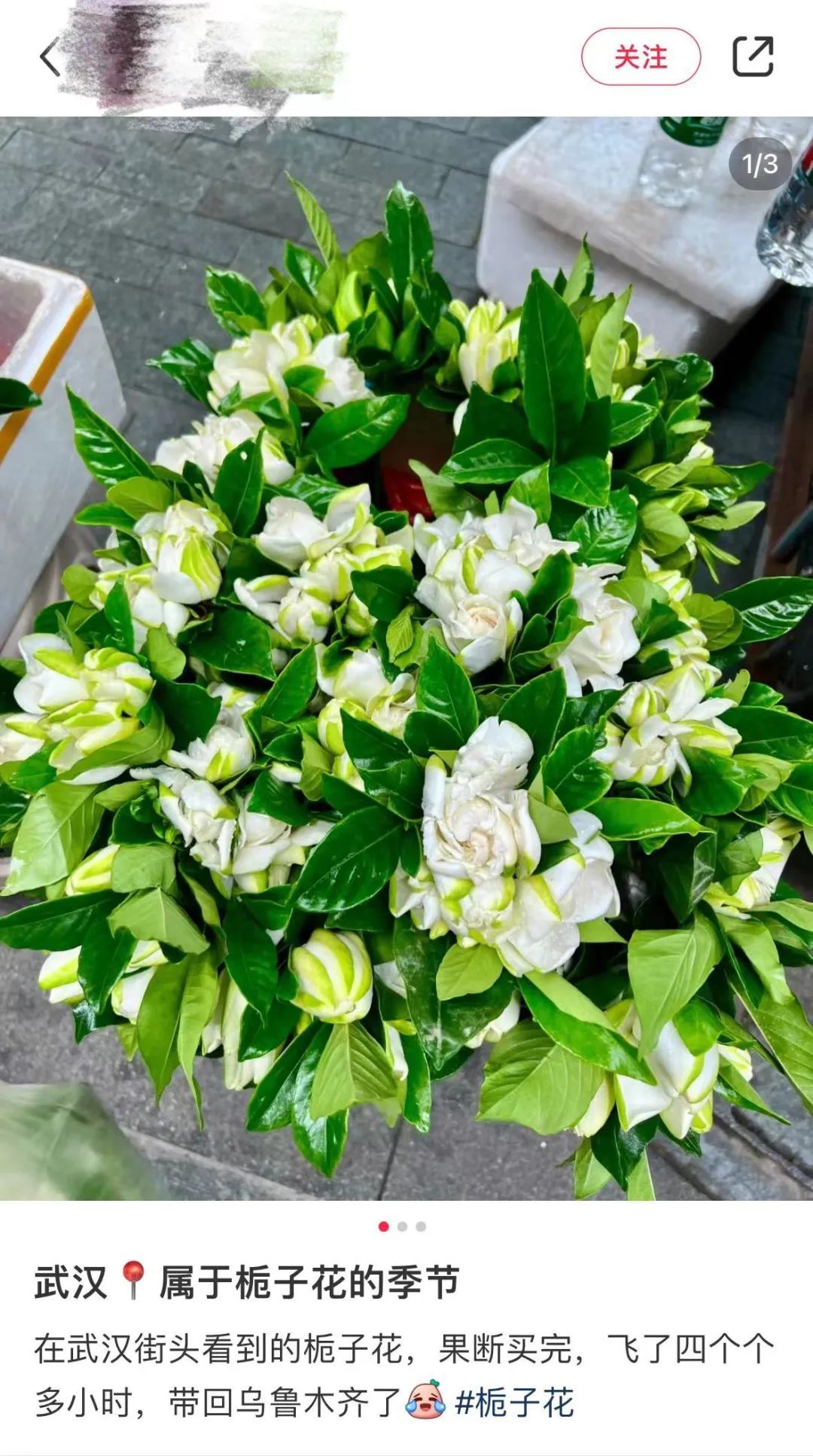 武汉大街小巷纷纷出现！网友：根本抵抗不了