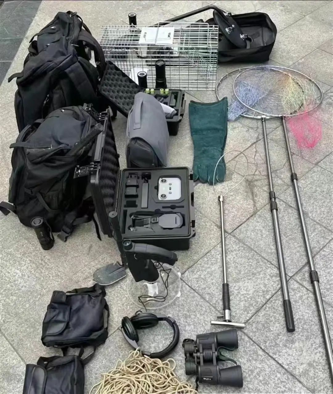 丢猫丢狗催生“宠物侦探”,专家紧急提醒 丢猫丢狗催生“宠物侦探”,专家紧急提醒