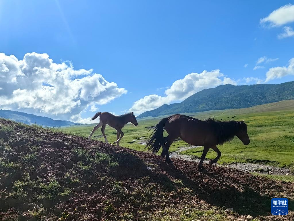 新华全媒＋丨《我的阿勒泰》取景地成热门旅游打卡地