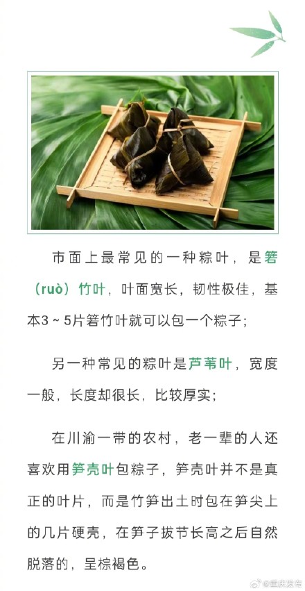 3招教你分辨“返青粽叶”,让你吃到放心粽子! 3招教你分辨“返青粽叶”,让你吃到放心粽子!