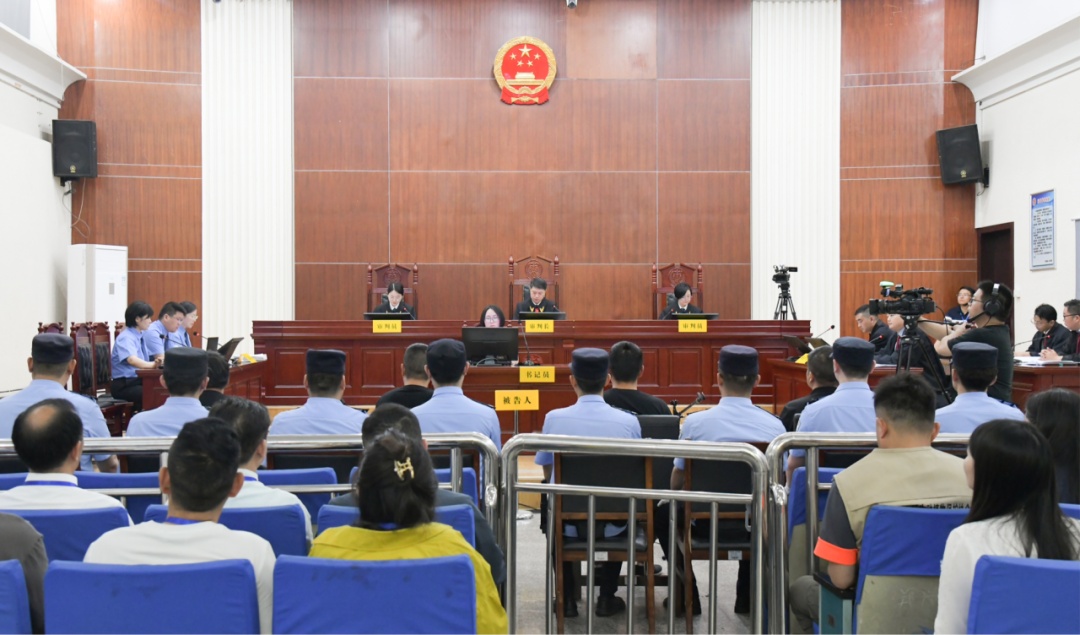 太心疼！2只“鸟中大熊猫”被猎杀 专家：全部幼鸟性命堪忧