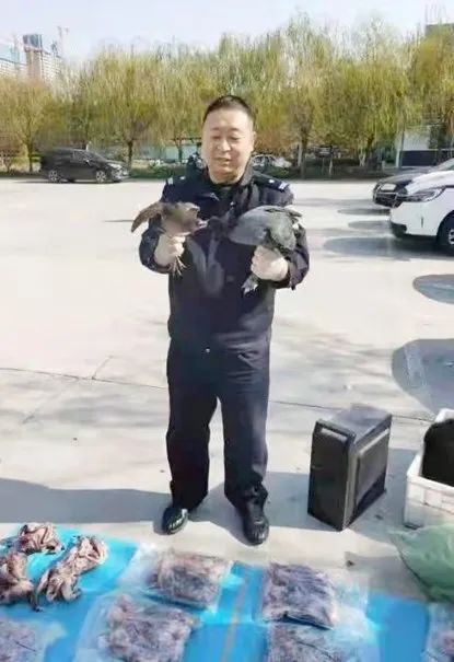 这种鸟，捕不得！