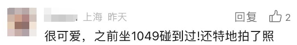 薄荷绿、粉色系……“宝宝巴士”现身上海街头!有人点赞,也有阿姨耿直吐槽→ 薄荷绿、粉色系……“宝宝巴士”现身上海街头!有人点赞,也有阿姨耿直吐槽→
