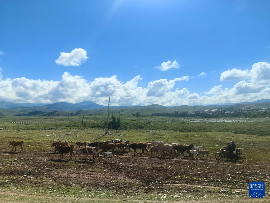 新华全媒＋丨《我的阿勒泰》取景地成热门旅游打卡地