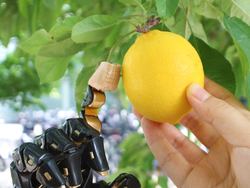 世界首款！祝贺我国科学家