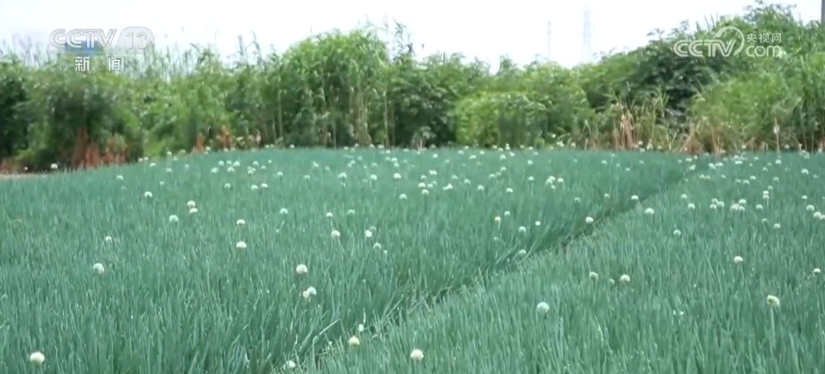 文化中国行 | &nbsp;从“土”秘诀看中华农耕文明创造性转化