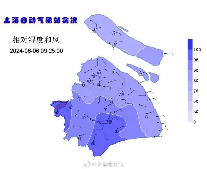这是夏天?上海断层式降温,有人穿上了毛衣!明后天还有雨,下周冲32℃ 这是夏天?上海断层式降温,有人穿上了毛衣!明后天还有雨,下周冲32℃