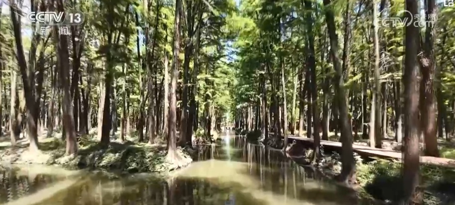 文化中国行 | &nbsp;从“土”秘诀看中华农耕文明创造性转化